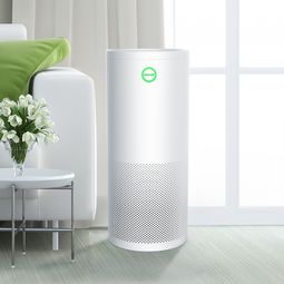省錢又省力 家用空氣凈化器哪個牌子好？